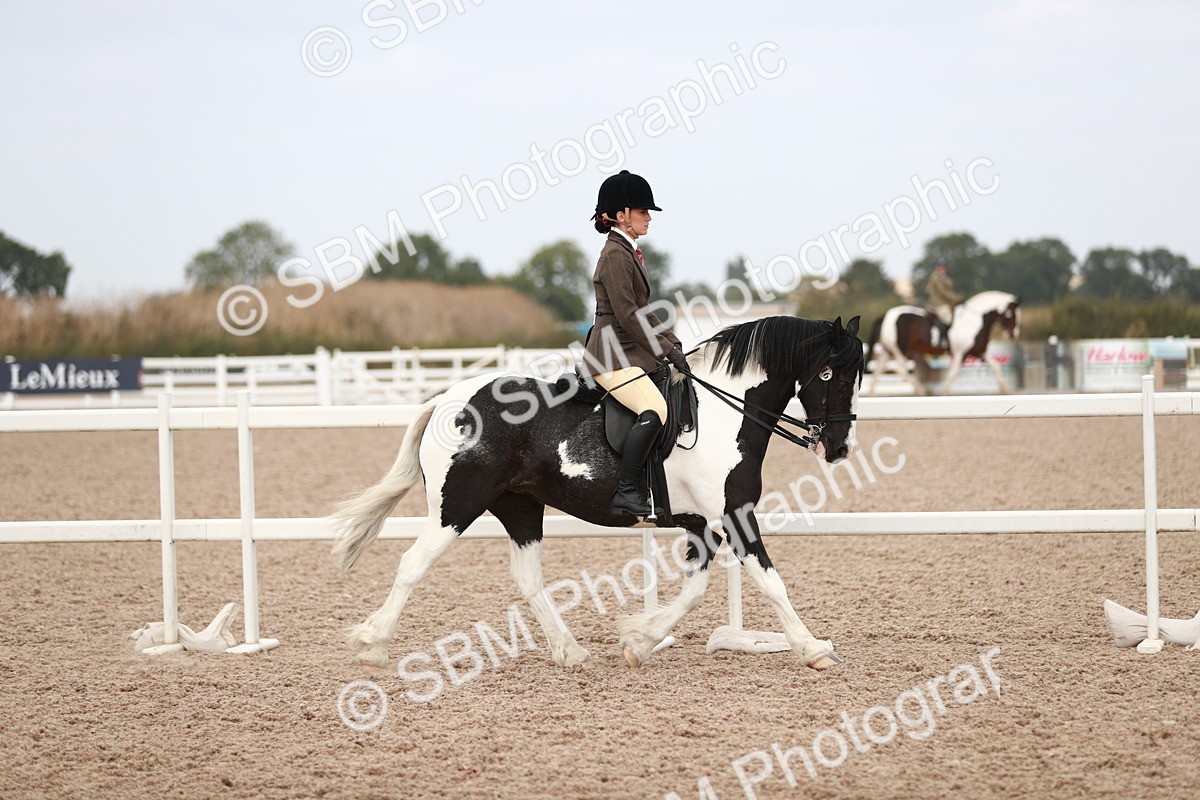 SBM_16586 - Class 214 Ridden Cob