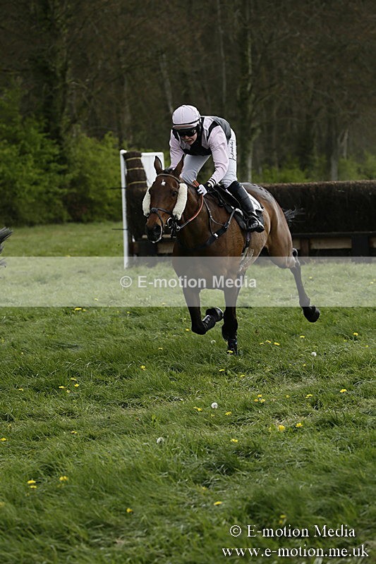 PtP 170417 178 - Old Berks Point-to-Point Lockinge 17/04/17
