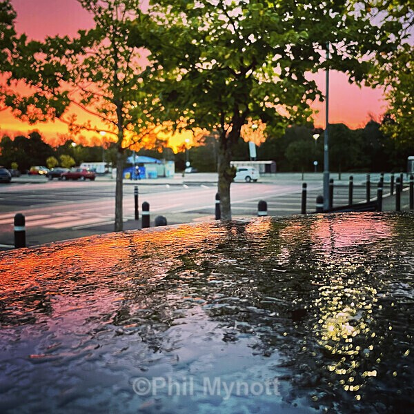 PhotoMynottART096 - Photo Mynott ART Images