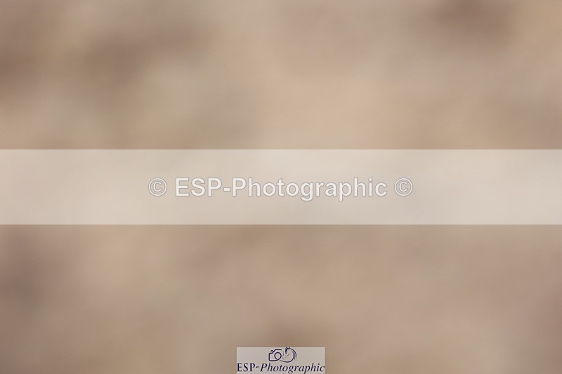 250621-171516-10115 - Cls 42+43 - FEI Inter II and GP