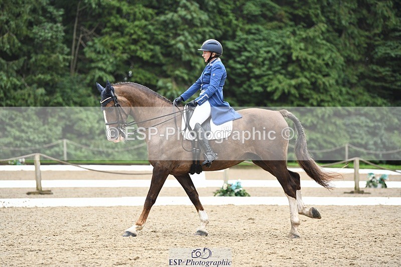 240720-160204-06342 - 142-Amberley_Pugsley-Hero_A