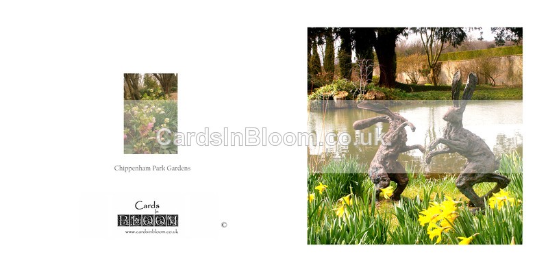 03 Boxing Hares at Chippenham Park - GARDENS