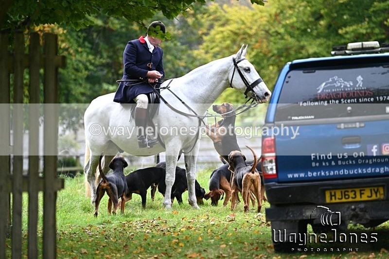 WJ7_4516 - Berks & Bucks Opening Meet at Rockley Manor 13-10-24