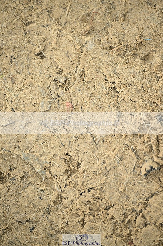 240822X-143824-10485 - 50cm R1 14.00 to 15.00
