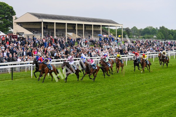 190523-Race 6-Eligible-0824 - Race 6 4.45pm Yorkshire Equine Practice Handicap