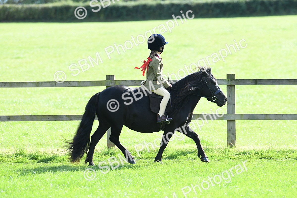 SBM_50272 - S21 - Novice & Newcomers 1st Ridden Pony