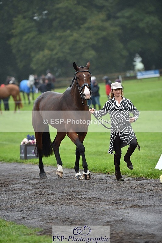 231018-121802-00191 - 026-LEIA.LUA-Louisa.Lockwood-TrotUp