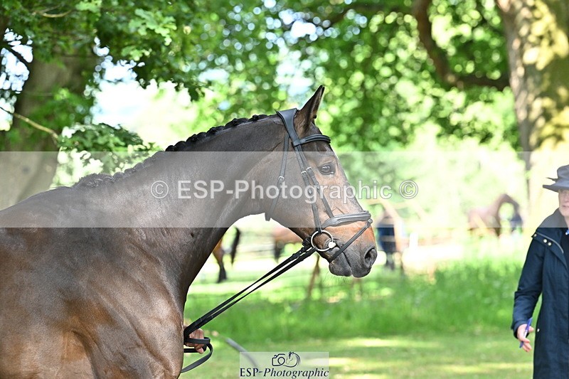 250521A-164336-01301 - C-255-Rupert.Hyde-LEONIDAS.VAN.DE.CRUMELHAEVE