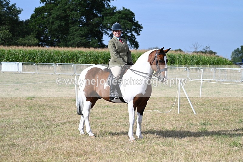 WJ7_2596 - Class 8 Ridden Tack & Turnout