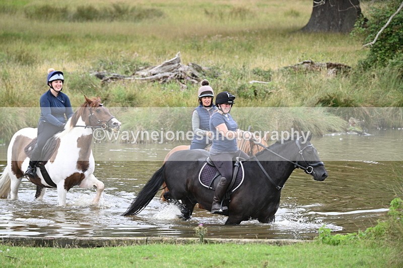 WJ7_0508 - Time at Water 09:19 to 10:04