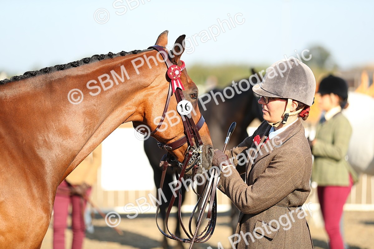 SBM_00025 - Class 40 Best Turned Out IH