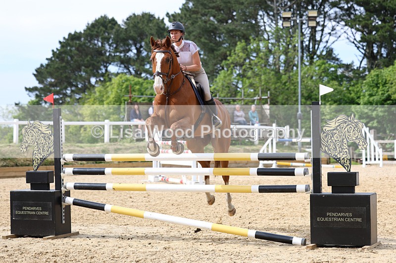 3E7A7754 - Class 8: Senior Foxhunter/1.20 open