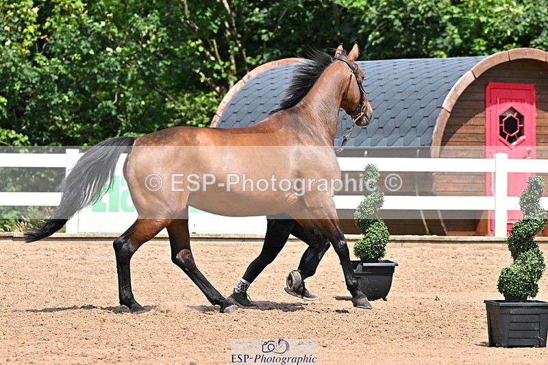 240718A-105306-01555 - Trot Up 1pm to 2pm