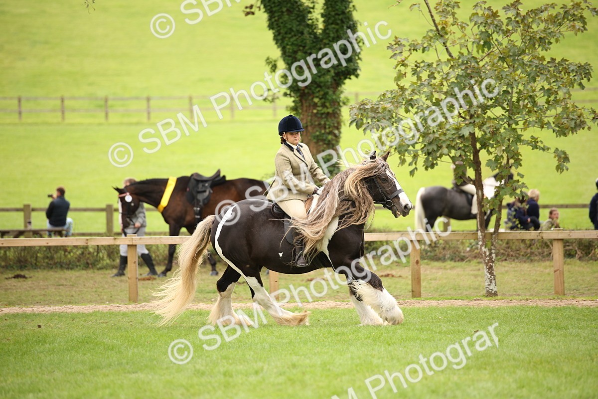 SBM_73502 - S68 - Traditional Cob Ridden