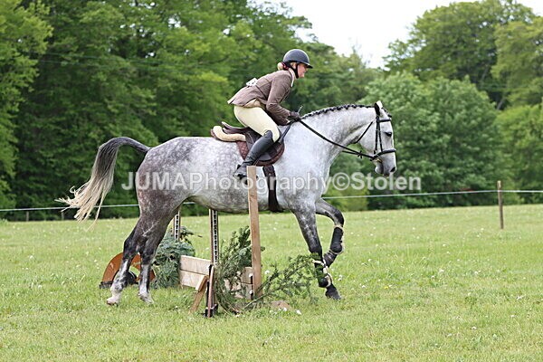 IMG_2769 - Working Hunter