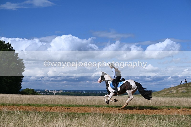 DSC_9991 - Time at Statue 15:11 to 15:58