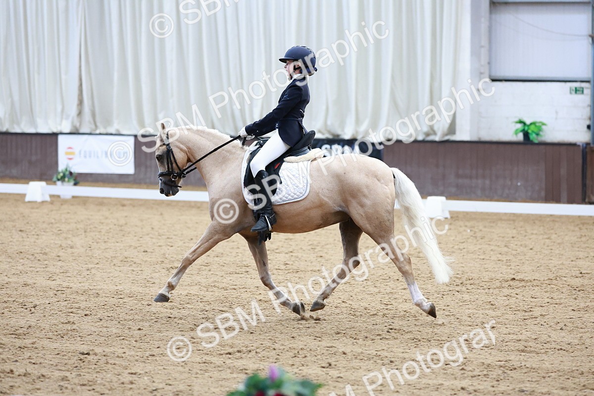 SBM_017391 - Class15 - FEI Pony