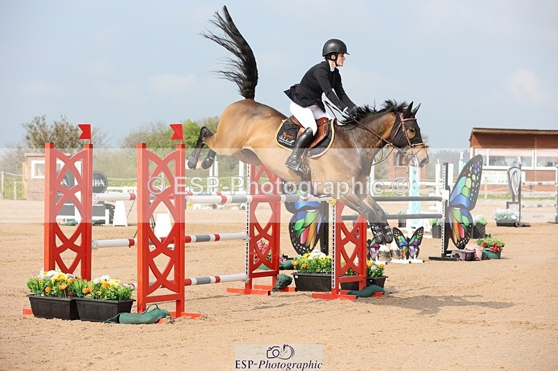 250424-102150-02971 - Cls 33 Young Horse 7yr old