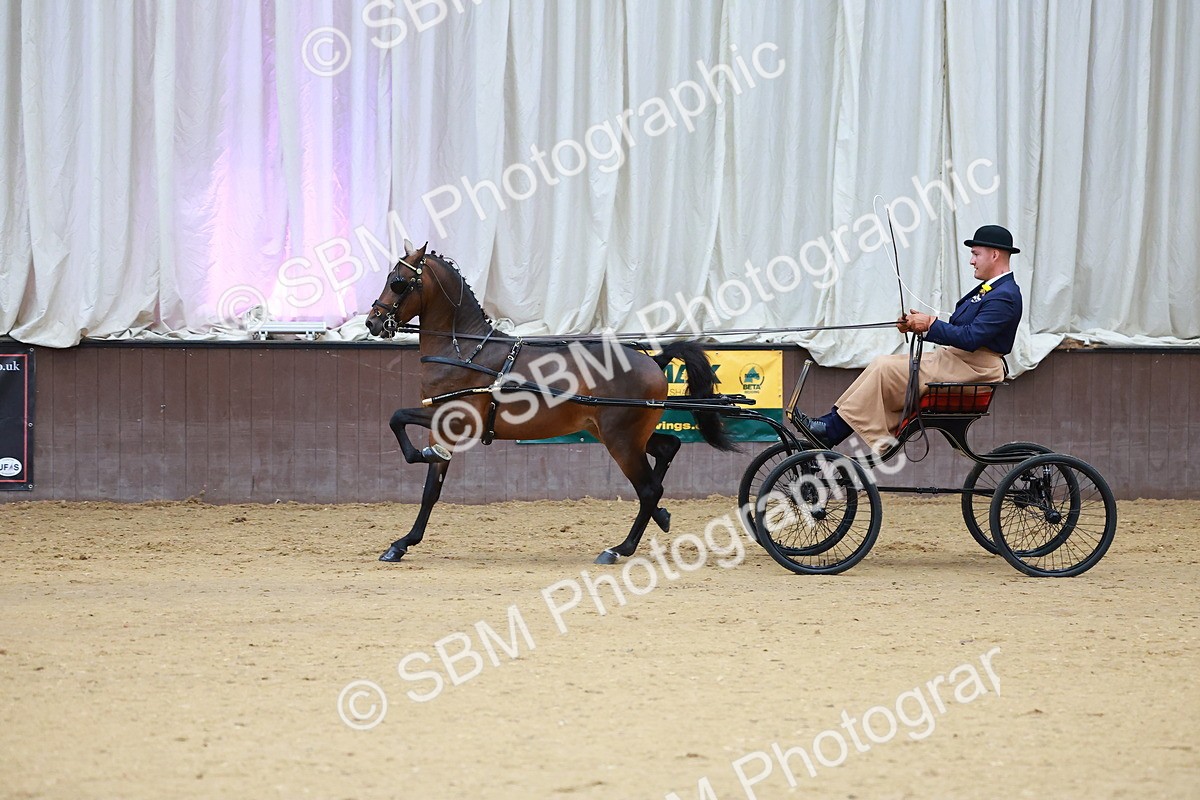 SBM_000637 - Class 9 - HHS Championship Intl Hackney Pony to a Showwagon