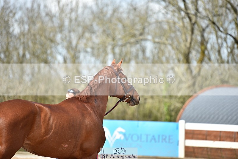 240417A-152042-00836 - 3pm to 4pm