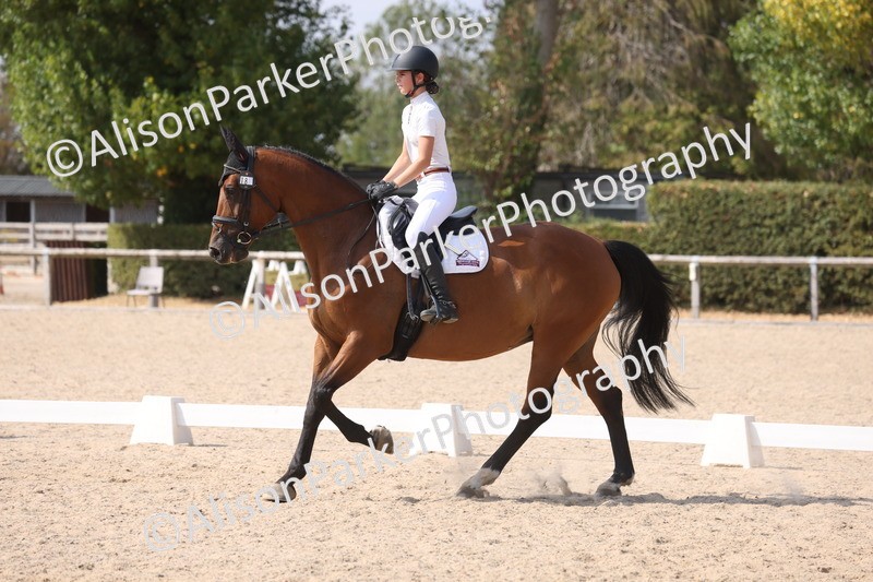 20260815-1088 - Class 6 - Novice 2