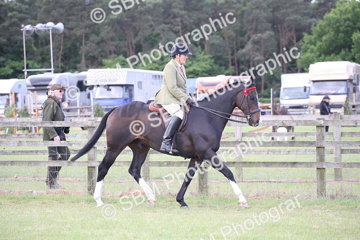SBM_14163 - Class 113-114 - Retraining of Racehorses Ridden
