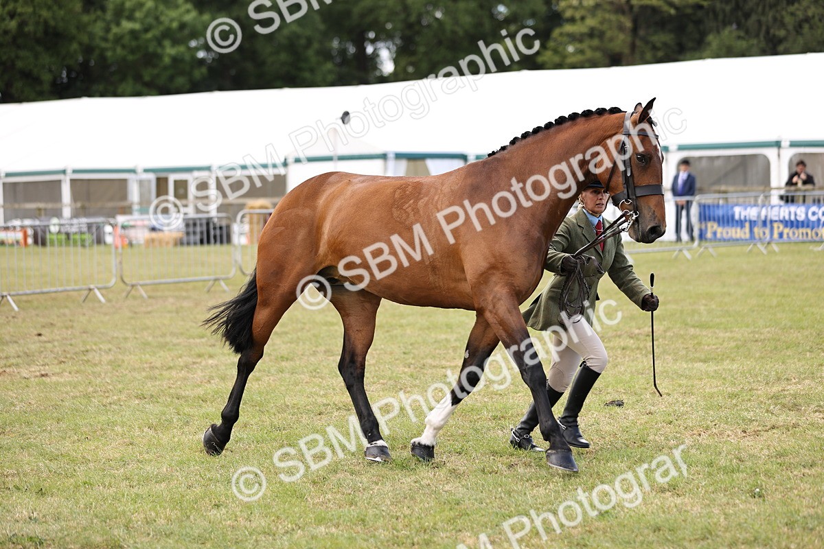 SBM_14747 - Class 88-89 - LIHS BSHA Rising Star of Ridden Hunter Type