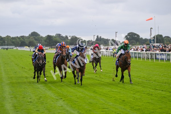 220824-Race 1-Celandine-6572 - Race 1 1.50pm Sky Bet Lowther Stakes