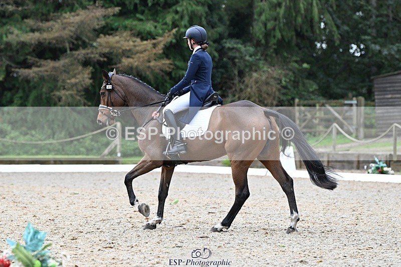 231019-122439-02760 - 044-COOLEY.ON.THE.CARDS-Charlotte.Cooke-DR