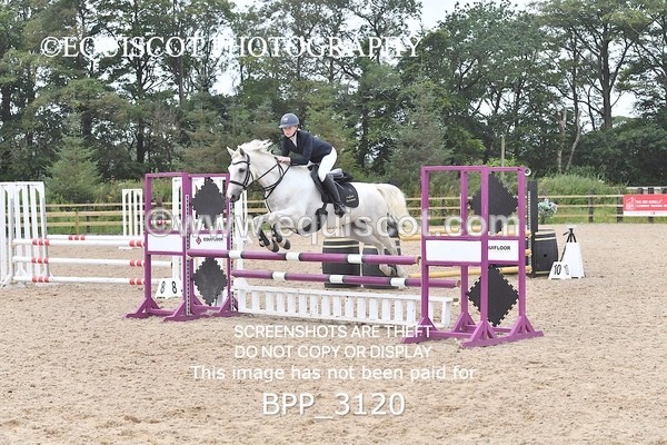BPP_3120 - CLASS 2 Senior British Novice/ 90cm Open
