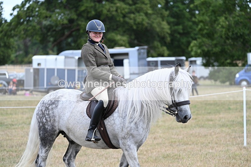 WJ7_5444 - Class 12 Ridden Cob