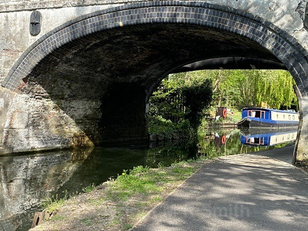 Grand Union Canal, Paddington Branch, Horsendon Hill, Ealing - LANDSCAPES & TREES