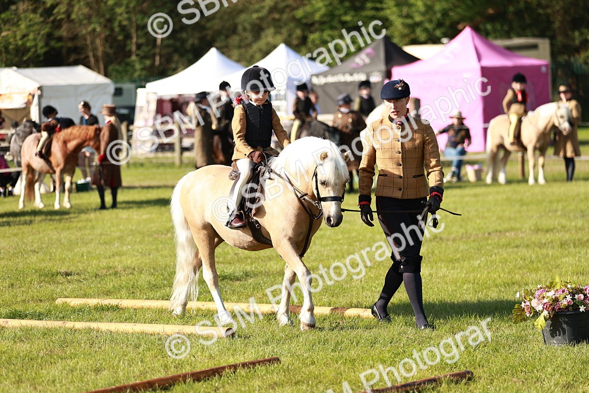 SBM_11118 - Class 106-107 - BSPS LIHS Working Sports Pony