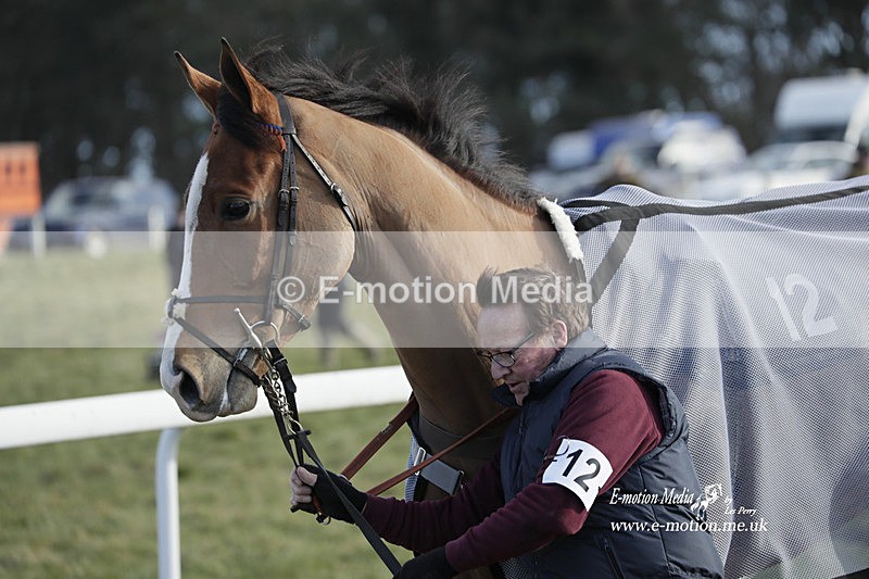 PtP 260223 984 - South & West Wilts Point-to-Point Larkhill 26/02/23