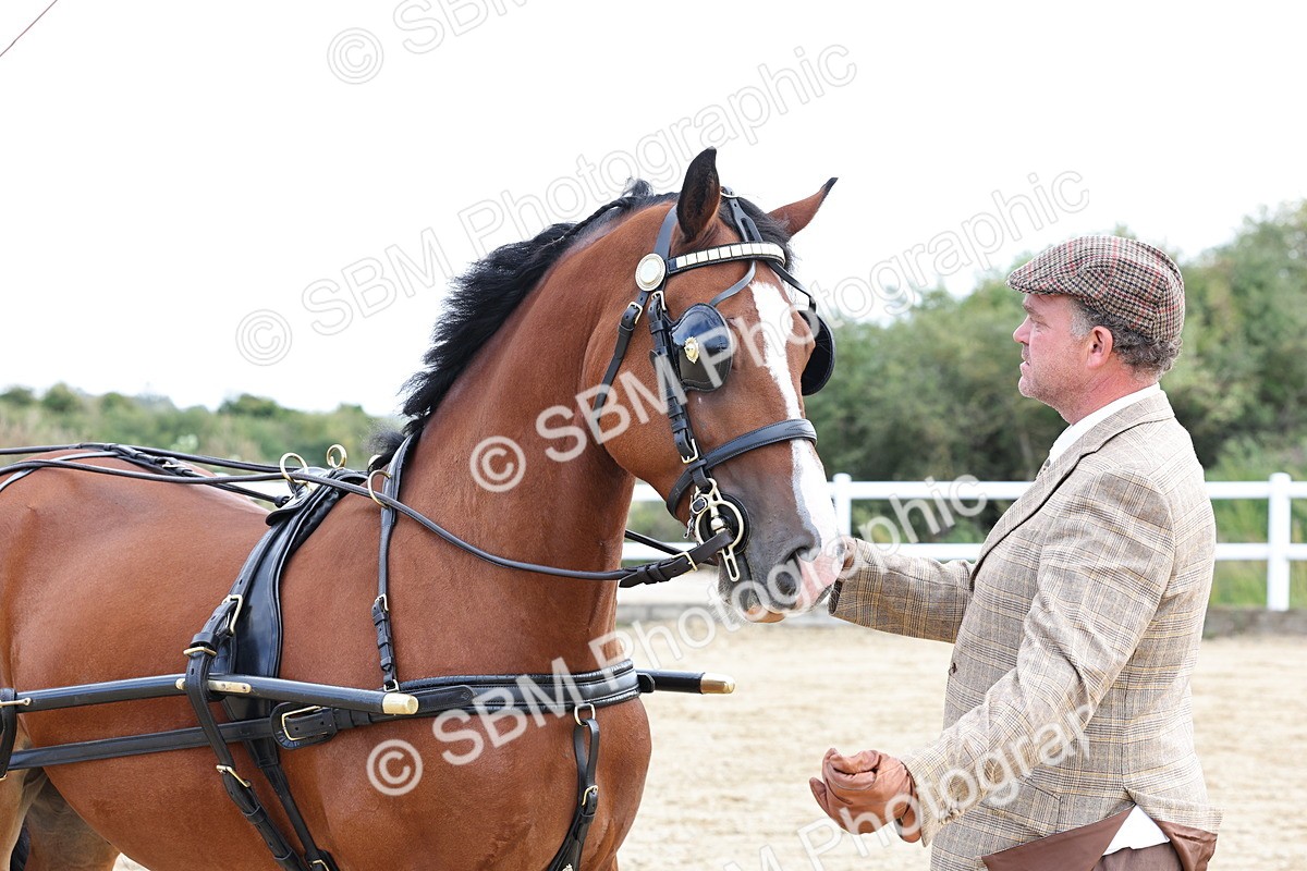 SBM_000789