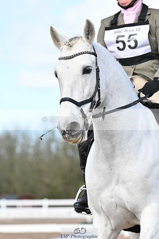 240324A-135646-03534 - Novice 28, 13.00 to 14.00