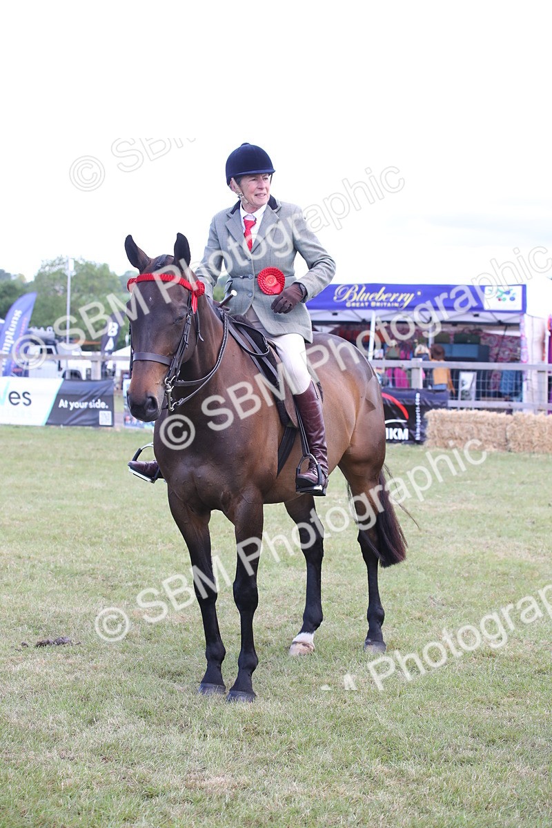 SBM_13273 - Class 95-96 - LIHS BSHA Rising Star Hack Riding Horse