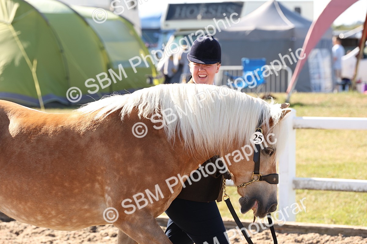 SBM_12861 - Class 206 - IH Non Show Type Pony