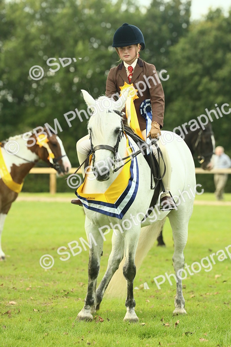 SBM_75106 - Ridden Pony Supreme Championship
