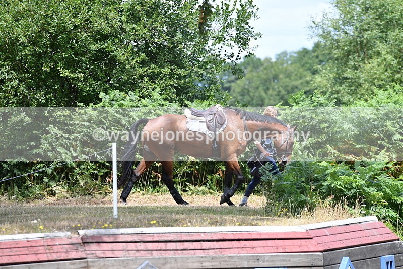 WJ5_0043 - Time 12:30 to 13:00