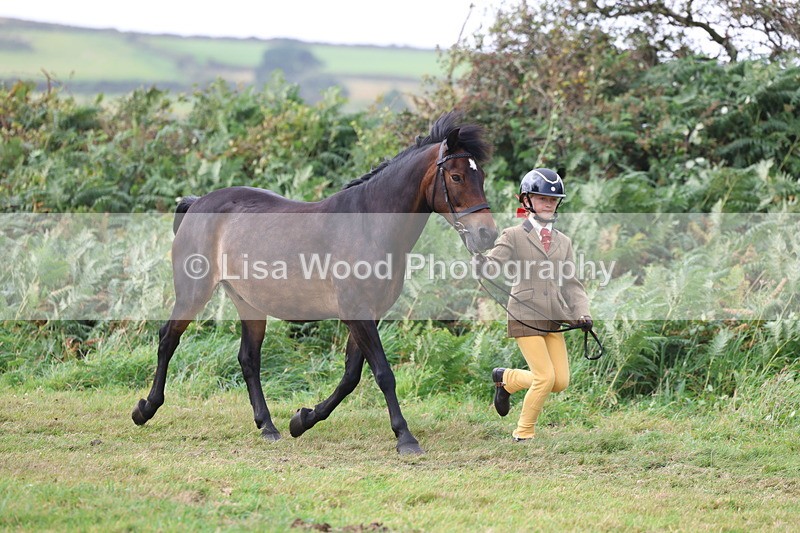 3E7A5278 - Class 18: Veteran in Hand