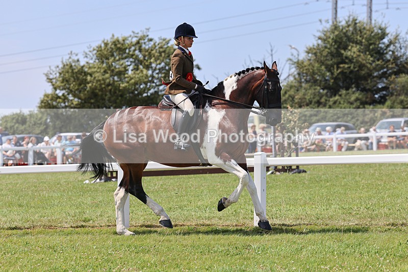 IMG_2819 - Veteran Championship