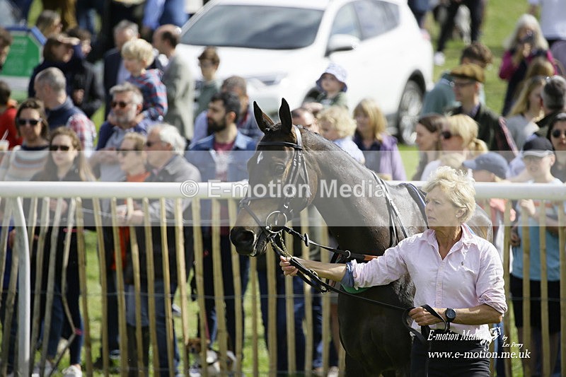 PtP 180422 22 - Old Berkshire PtP Lockinge 18/04/22