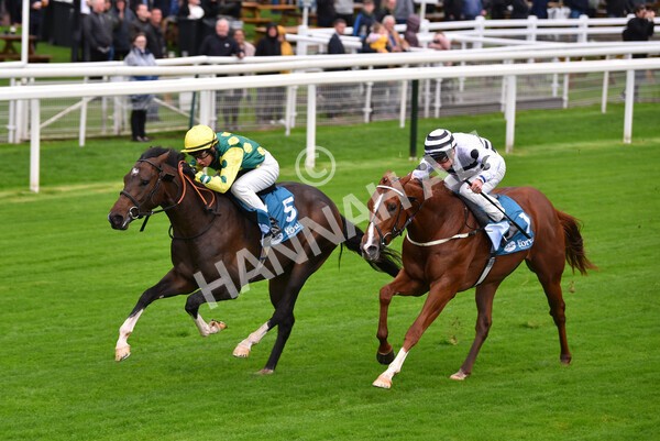 yr07102022r1-17 - Race 1 2.05pm Parsonage Hotel and Cloisters Spa Stakes