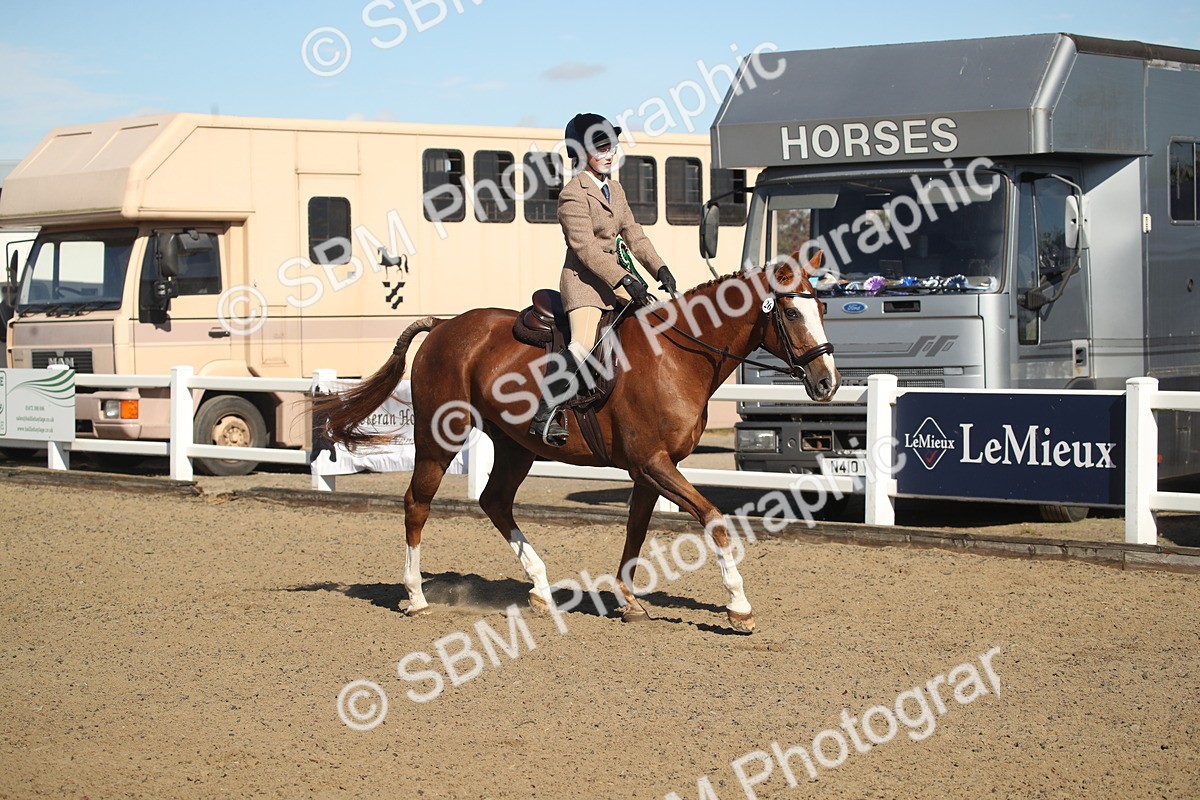 SBM_12802 - Class 504b - Junior Working Veteran - 40cm (20+)