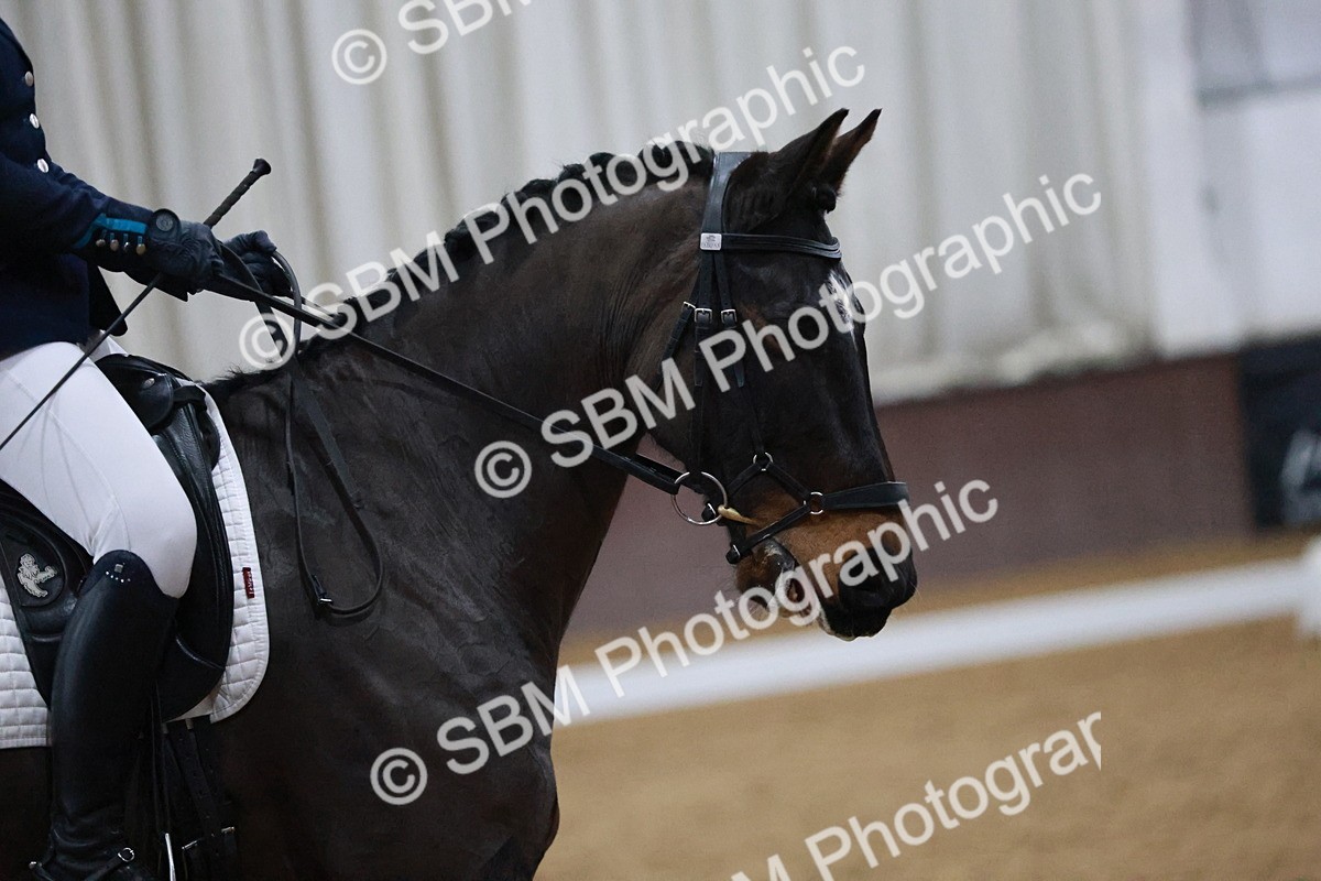 SBM_005554 - Medium Music-Medium 2-Adv Med 1