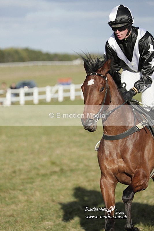PtP 260223 1281 - South & West Wilts Point-to-Point Larkhill 26/02/23