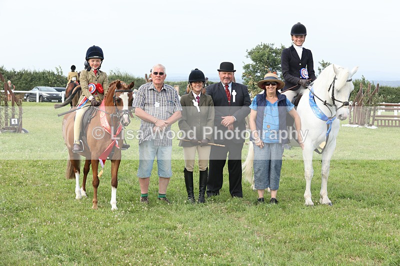 JPP_4812 - Working Hunter Championship