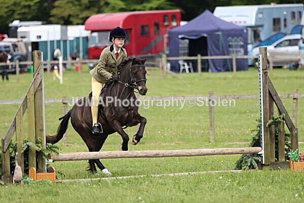 IMG_2576 - Working Hunter