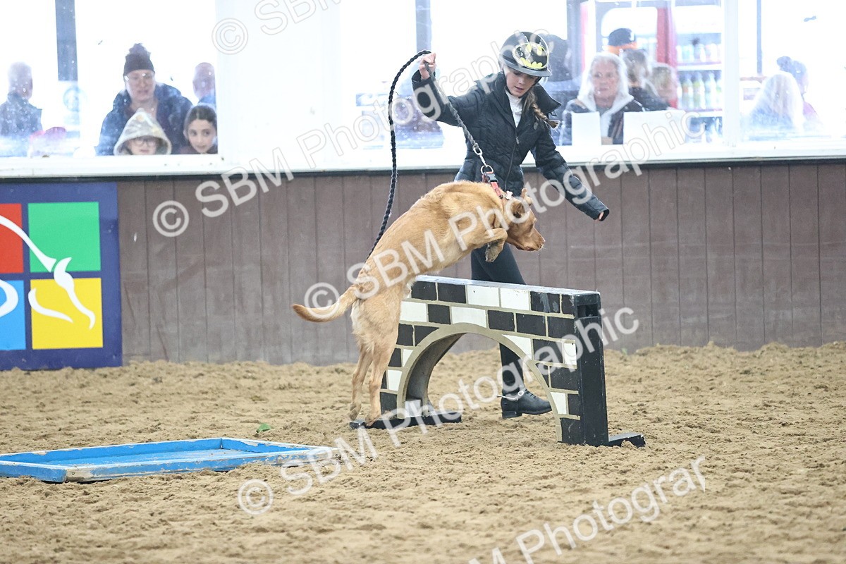 SBM_001312 - Class 3 - Horse & Hound 60cm
